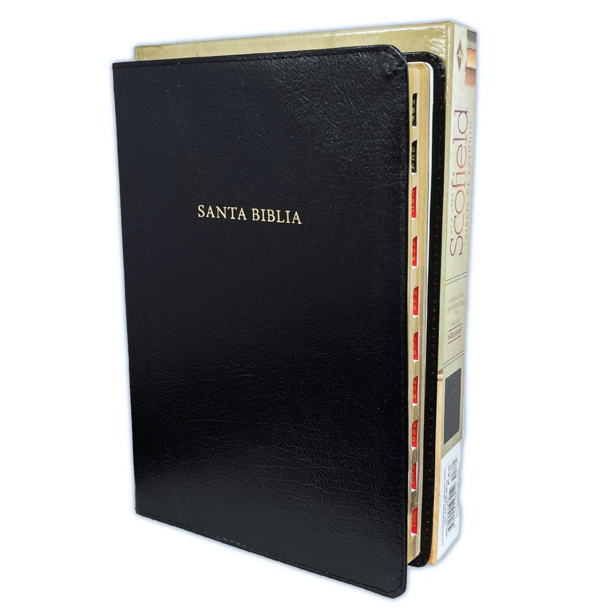 Biblia de Estudio Scofield Reina Valera 1960 – Tapa Piel Fabricada Negro con Índice