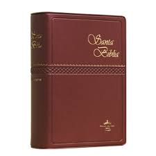 Biblia Reina Valera 1960 Concordancia tapa Vinilica 10 x 14 cm