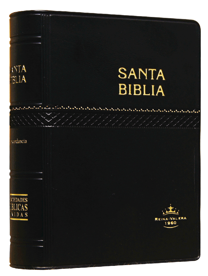 Biblia Reina Valera 1960 Tapa Vinilica Color Negro