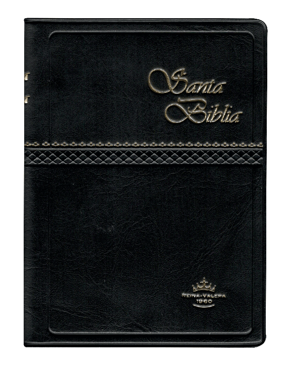 Biblia Reina Valera 1960 Tapa Vinilica Color Negro