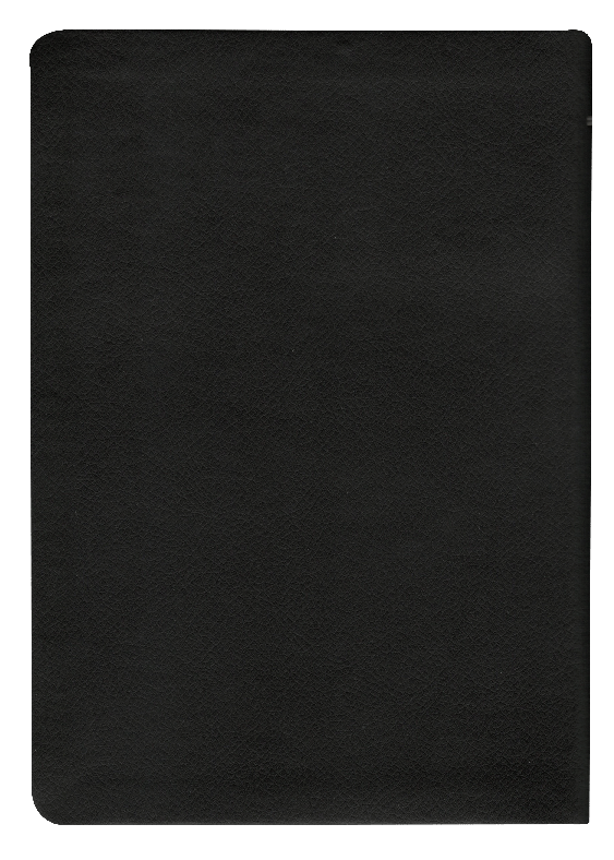 Biblia Reina Valera 1960 Tapa Vinilica Color Negro
