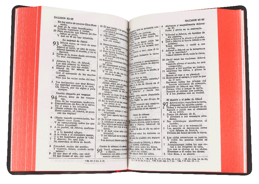 Biblia Reina Valera 1960 Tapa Vinilica Color Negro