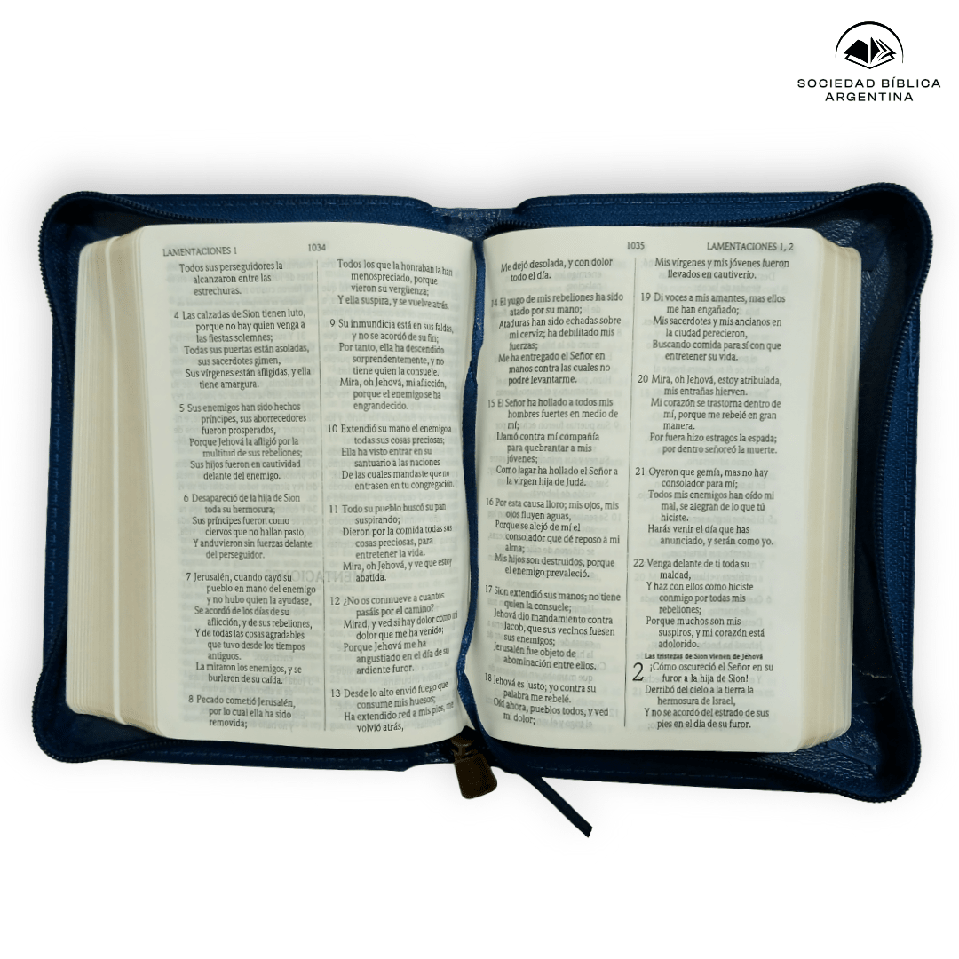 Biblia Reina Valera 1960 Tapa Flexible Azul