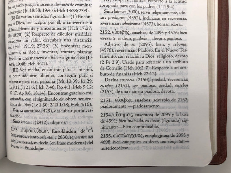 Biblia De Estudio Palabra Clave Con Dicc Hebreo/grieg Marrón
