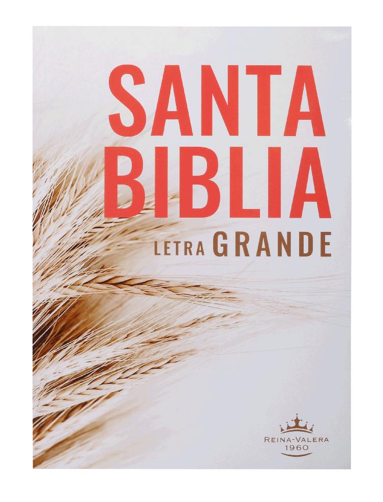 Biblia Reina Valera 1960 Letra Grande Tapa Cartulina