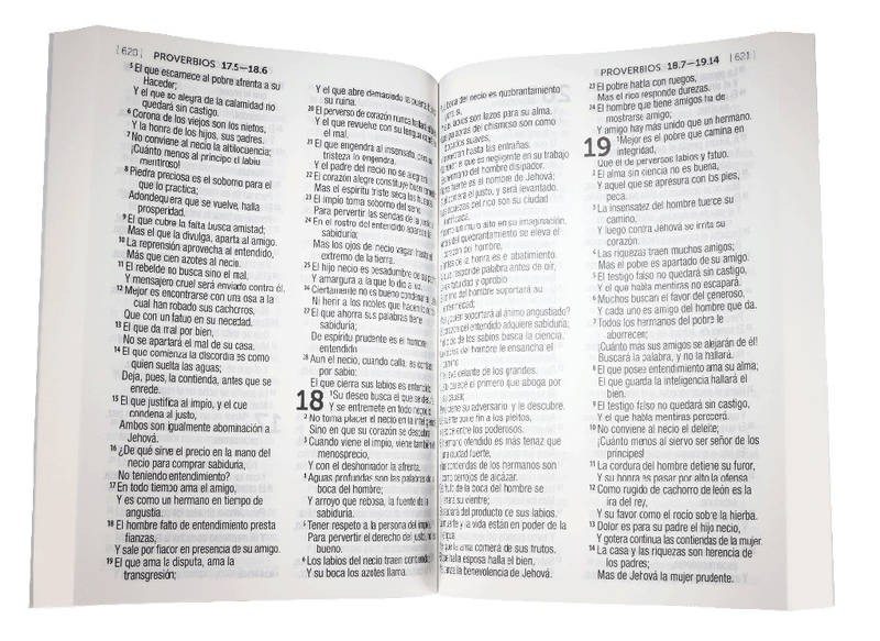 Biblia Reina Valera 1960 Letra Grande Tapa Cartulina