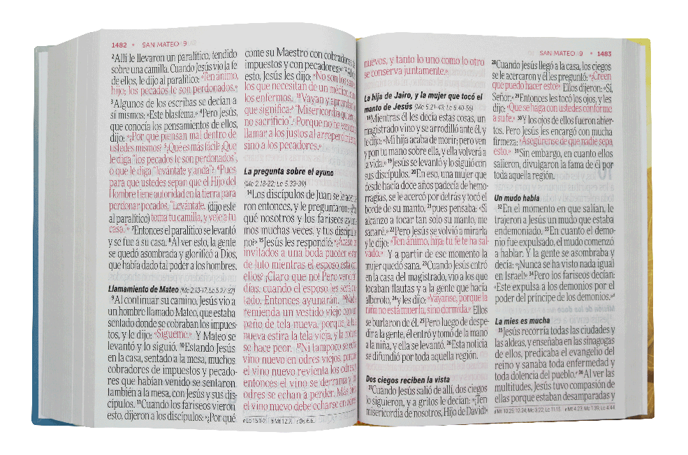 Biblia Reina Valera Contemporánea Letra Super Gigante Concordancia