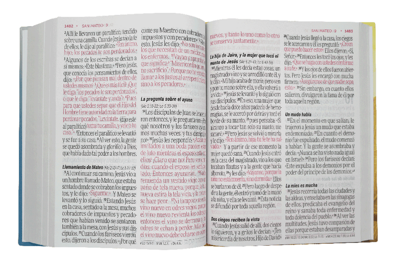 Biblia Reina Valera Contemporánea Letra Super Gigante Concordancia