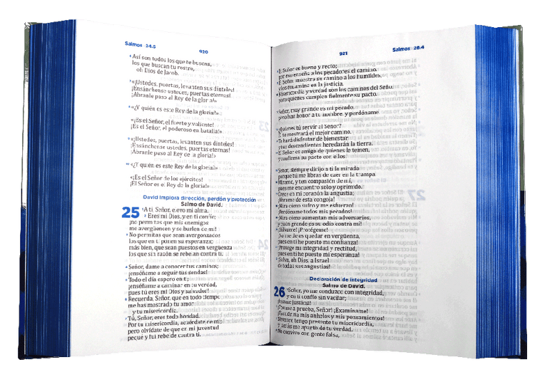 Biblia Pastoral Reina Valera Contemporanea Letra Grande Concordancia Tapa Dura