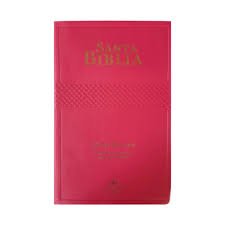 Biblia Reina Valera 1960 Letra Grande Concordancia Tapa Vinil Fucsia Palabras de Jesús en Cursiva