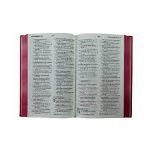 Biblia Reina Valera 1960 Letra Grande Concordancia Tapa Vinil Fucsia Palabras de Jesús en Cursiva