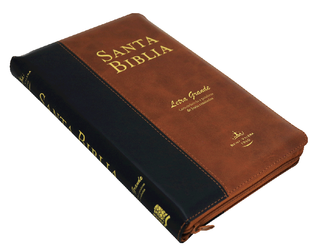 Biblia Reina Valera 1960 Letra Grande Concordancia Tapa Fina PU Bitono Palabras Jesús en Cursiva