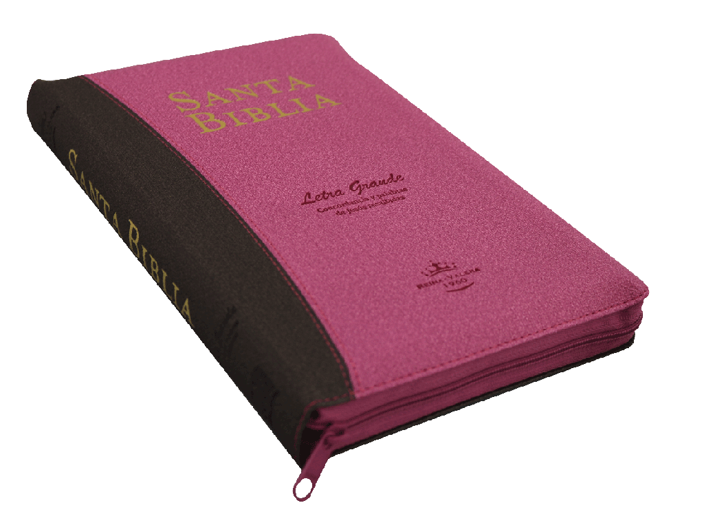 Biblia Reina Valera 1960 Letra Grande  Conc. Cierre Palabra de Jesús en Cursiva Tapa Fina PU Fucsia Marron