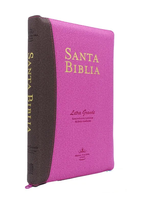 Biblia Reina Valera 1960 Letra Grande  Conc. Cierre Palabra de Jesús en Cursiva Tapa Fina PU Fucsia Marron