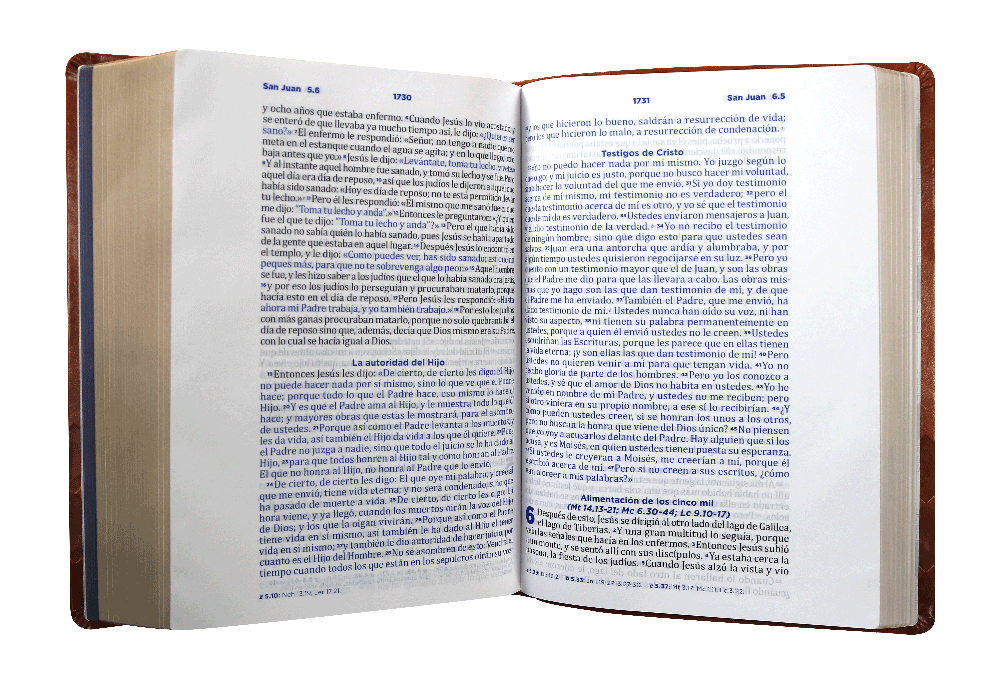 Biblia Pastoral Reina Valera Contemporanea Letra Grande Concordancia Tapa Fina PU Marron