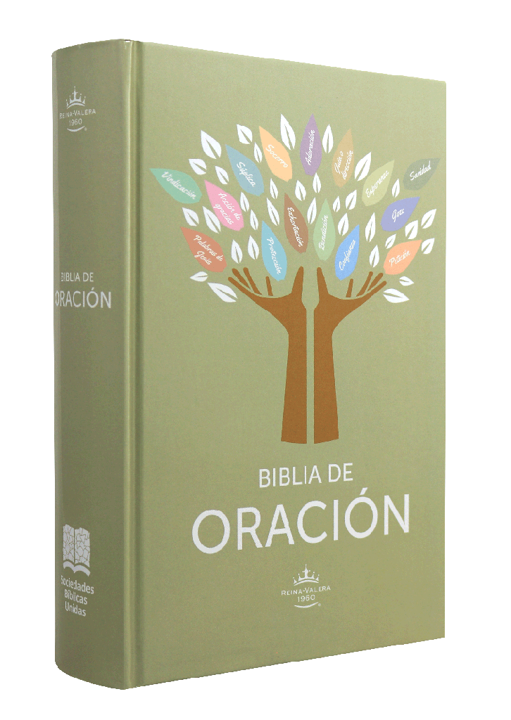 Biblia Reina Valera 1960 Oracion Concordancia Letra Gigante 16 Puntos Tapa Dura