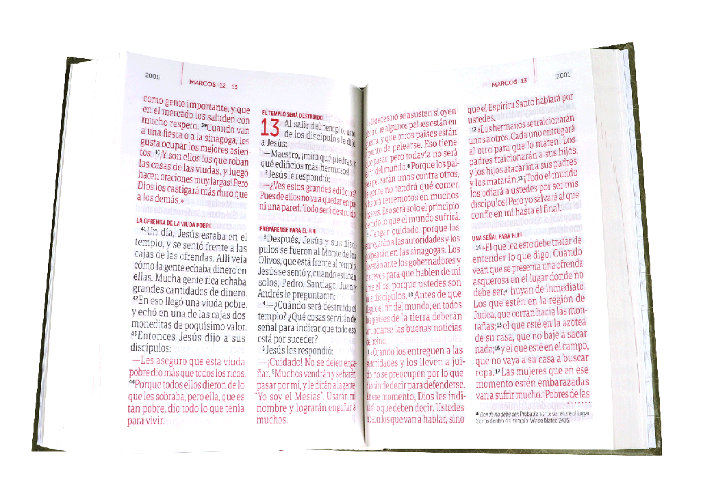 Biblia Traducción Lenguaje Actual Letra Gigante PJR Tapa Dura Verde