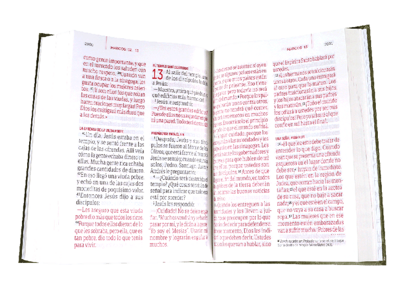 Biblia Traducción Lenguaje Actual Letra Gigante PJR Marron