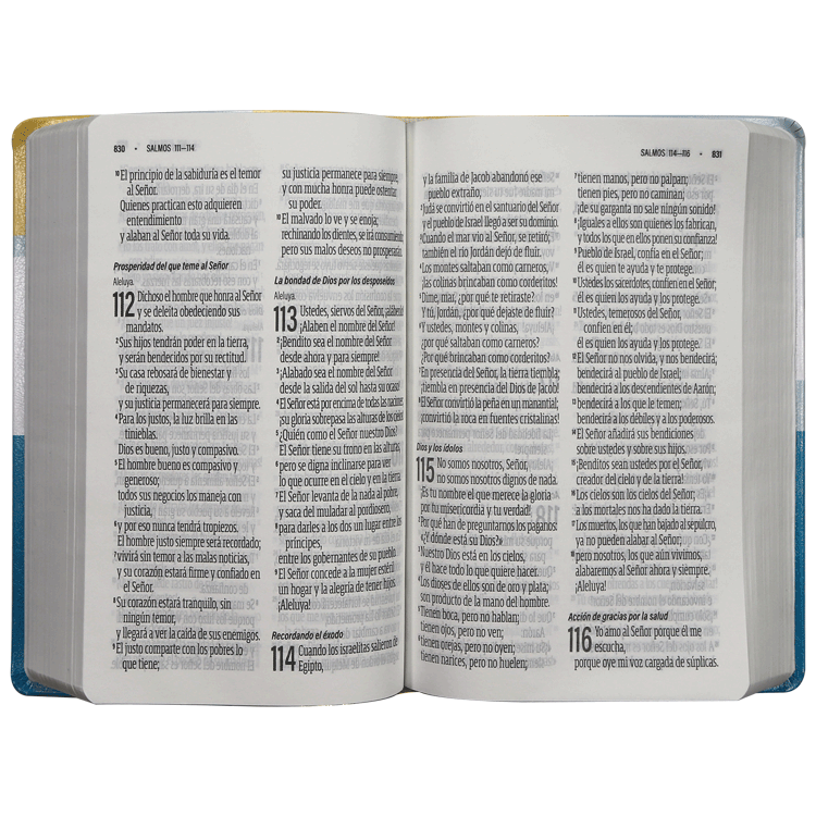 Biblia Reina Valera Contemporánea Letra Gigante Azul