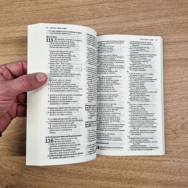 Biblia Reina Valera 1960 económica 1M – Tapa Cartulina Flores Rosas, 14 x 21 cm, Letra 9 Puntos