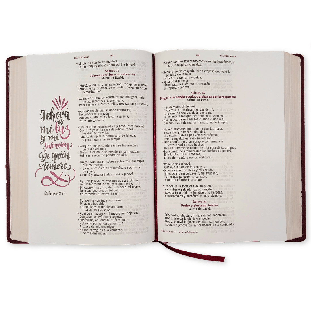 Biblia Reina Valera 1960 Letra Gigante Palabras de Jesús en Rojo Adoro Tapa Blanda
