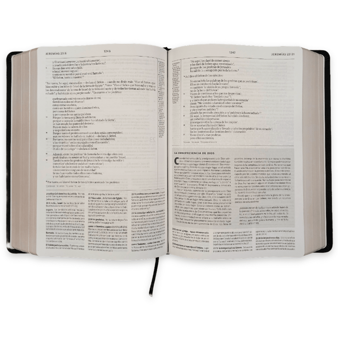 Biblia Estudio De La Reforma Piel Genuina Editor R. C. Sproul