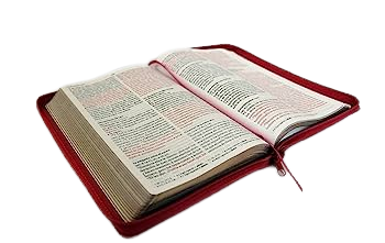 Biblia RVR 1960 Letra 10 Pts 14 X 21 Imit Piel Fucsia Cierre