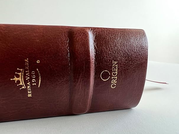 Biblia Reina Valera 1960 De Estudio Dake Tamaño Grande Piel Marron