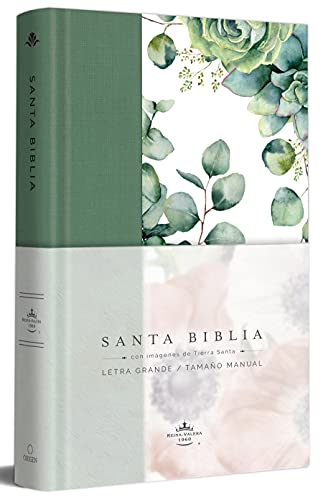 Biblia RVR 1960 Letra 10 Pts 14 X 21 TD Tela Verde