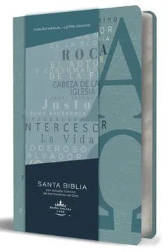 Biblia RVR1960 Letra 10 Pts 14 X 21 Nombres 4 Colores