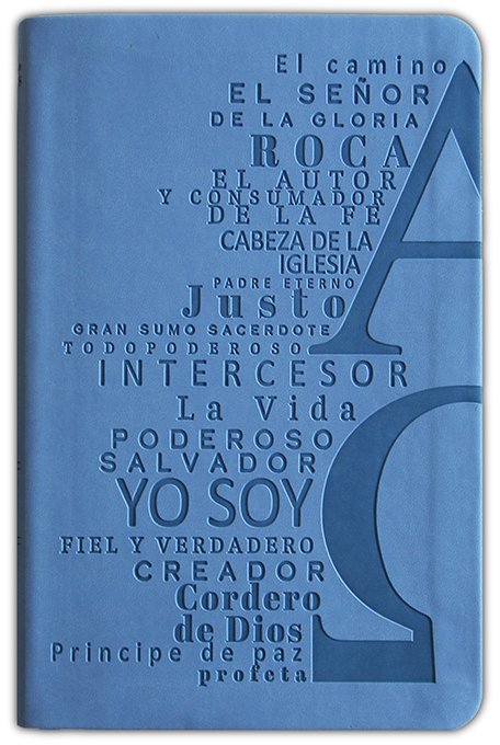 Biblia RVR 1960 Letra 10 Pts 14 x 21 Nombres De Dios Azul