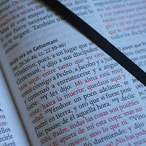 Biblia RVR 1960 Letra 10 Pts 14 X 21 Nombres Negra Cierre
