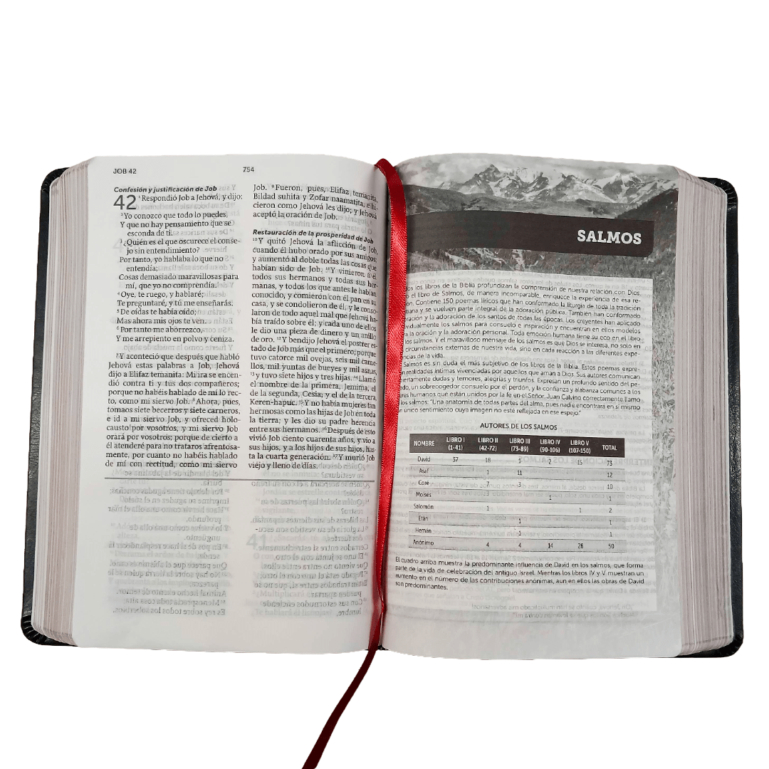 Biblia De Referencia con enciclopedia Ilustrada RVR 1960, imitación piel Negro