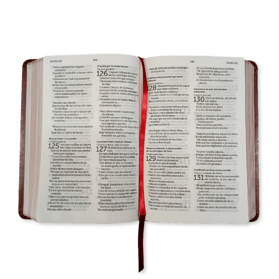 Biblia De Referencia Ilustrada (Imitacion Piel Marron)
