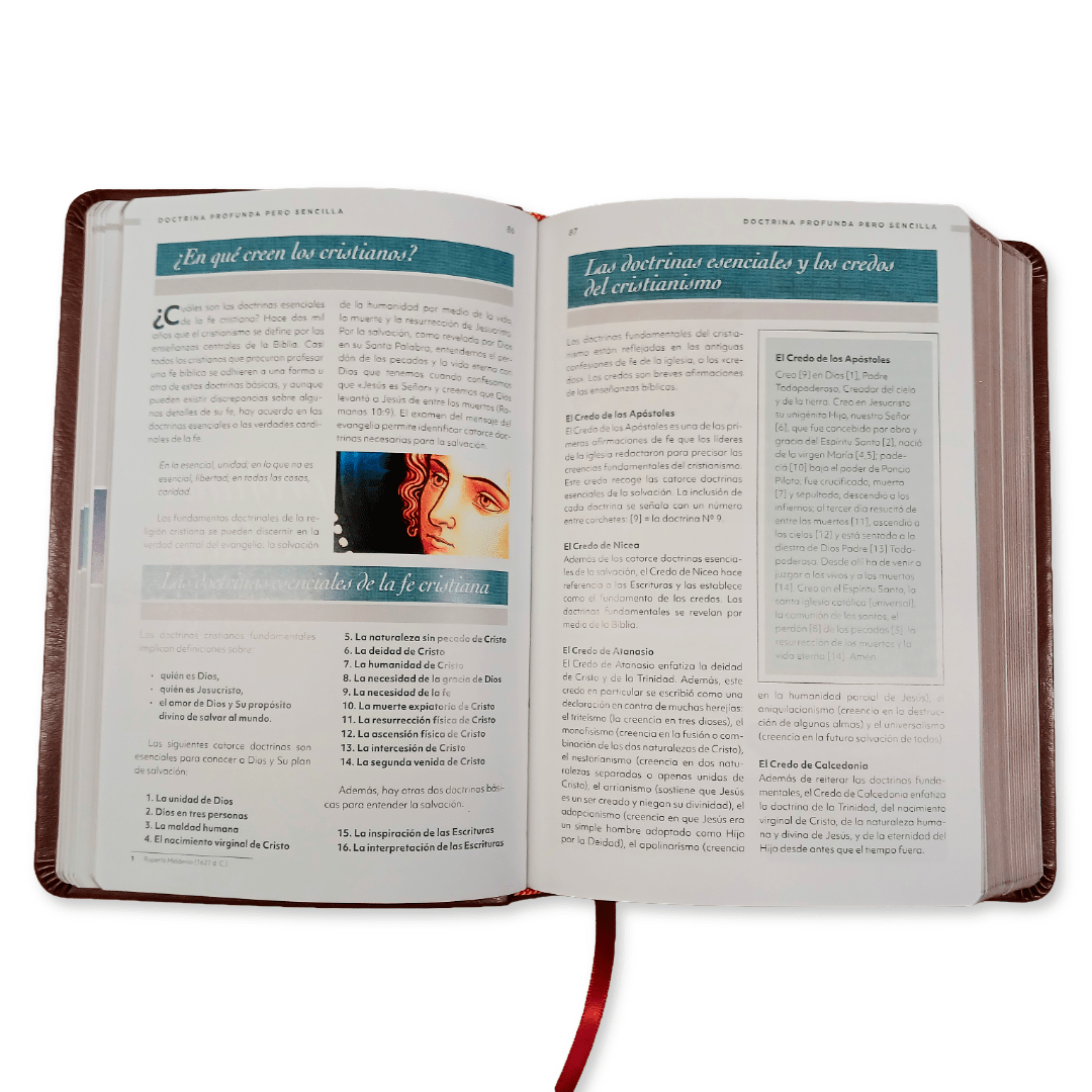 Biblia De Referencia Ilustrada (Imitacion Piel Marron)