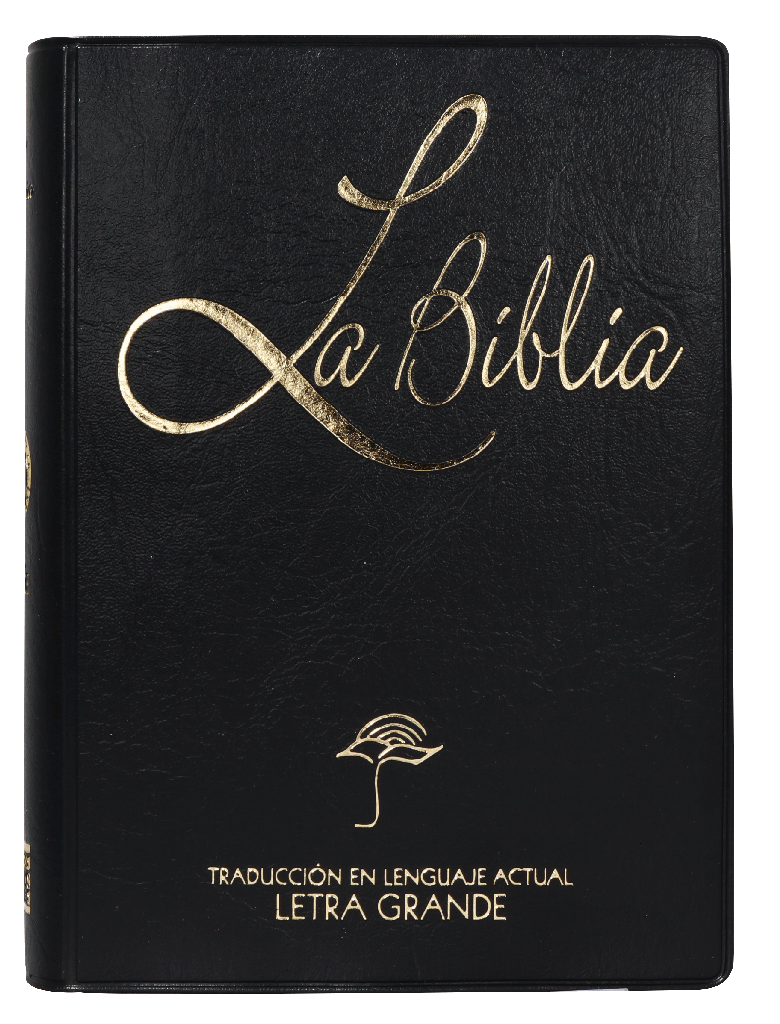 Biblia Traducción Lenguaje Actual Tapa Vinilica Negro Letra 10 puntos