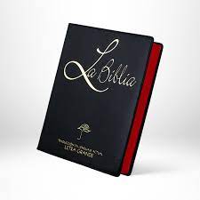 Biblia Traducción Lenguaje Actual Tapa Vinilica Negro Letra 10 puntos