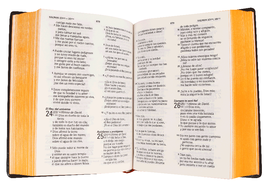 Biblia Traducción Lenguaje Actual Letra Mediana Bordó