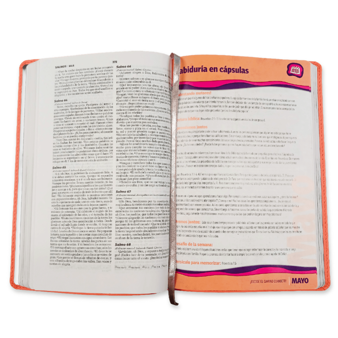 Biblia Devocional Familiar Nueva Biblia Viva Nbv, Edic Lujo