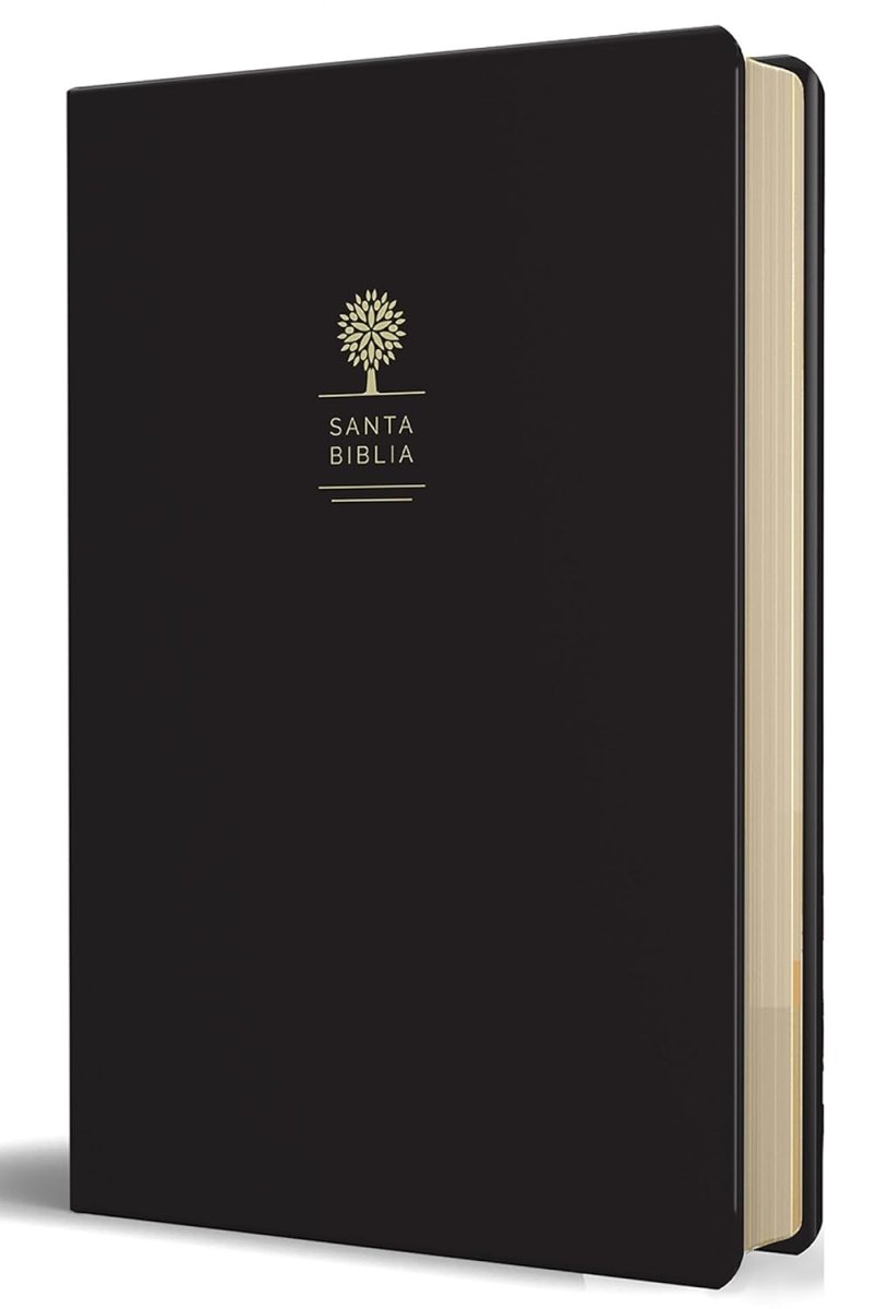 Biblia Reina Valera 1960 · Letra grande · Tapa piel color negro