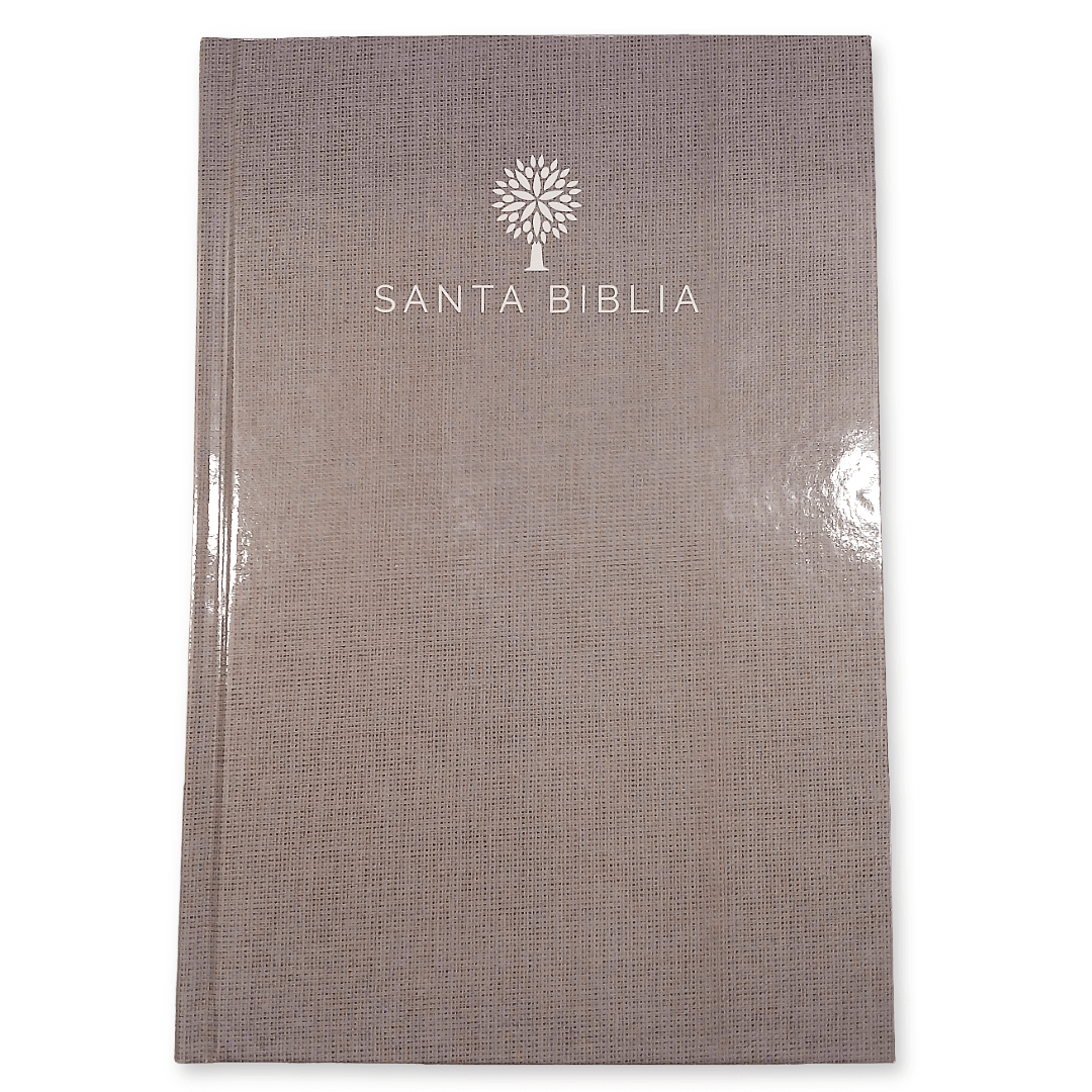Biblia Reina Valera 1960 con Concordancia y Palabras de Jesús en Rojo – Tapa Dura Gris, Letra 12.5pt, 16x24 cm