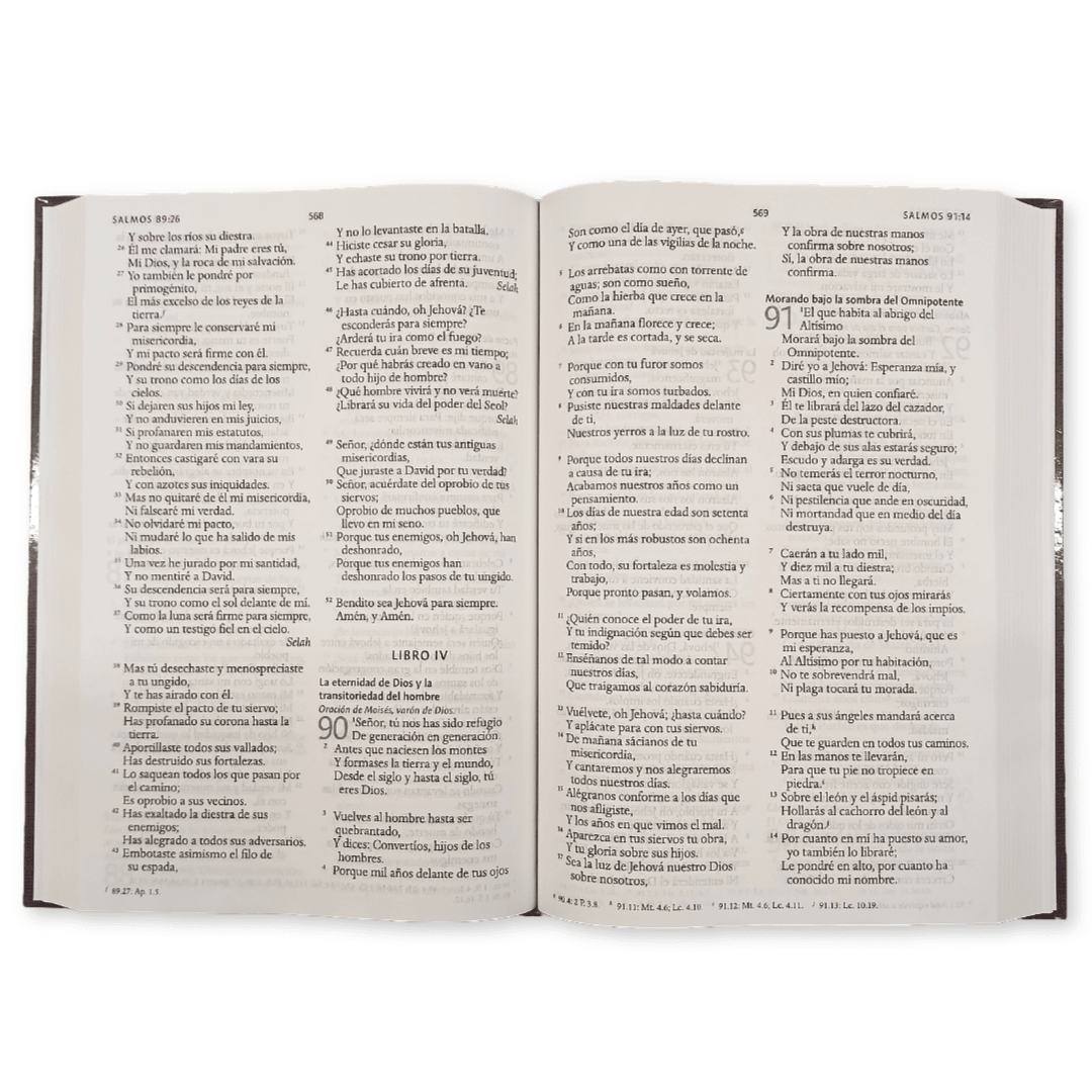 Biblia Reina Valera 1960 con Concordancia y Palabras de Jesús en Rojo – Tapa Dura Gris, Letra 12.5pt, 16x24 cm