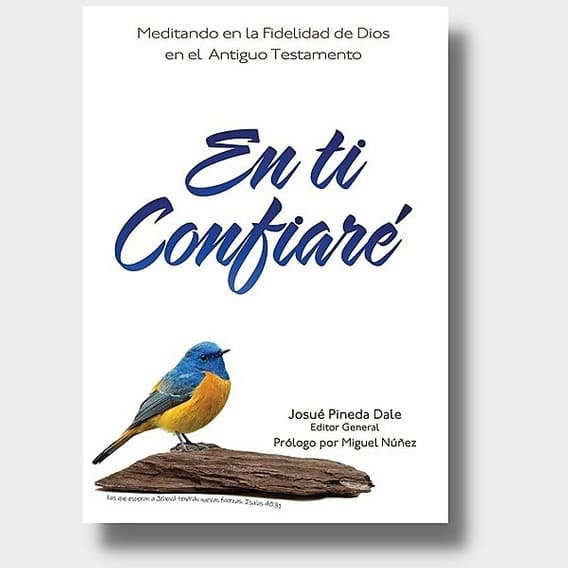 En Ti Confiaré Antiguo Testamento EBI - Pineda