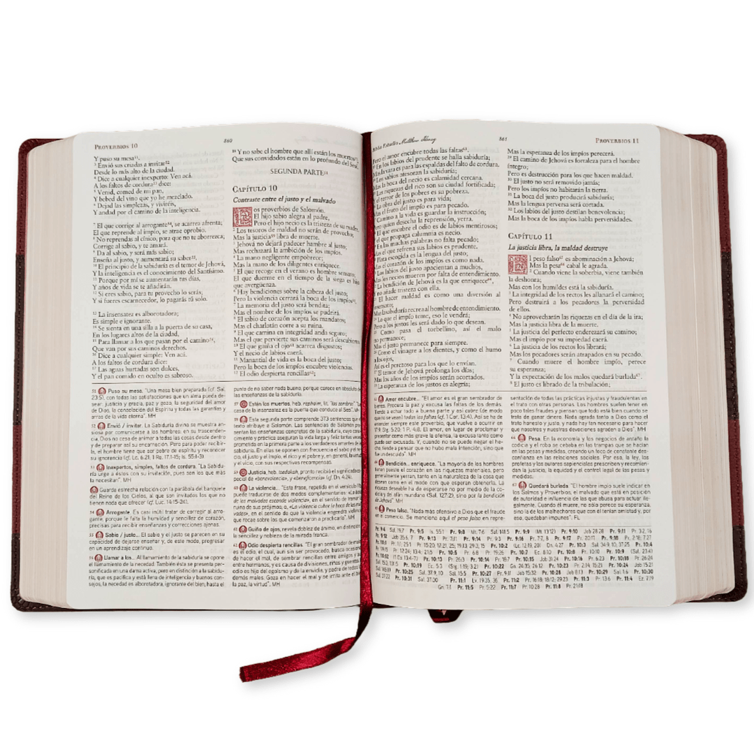 Biblia De Estudio Matthew Henry RVR 1977