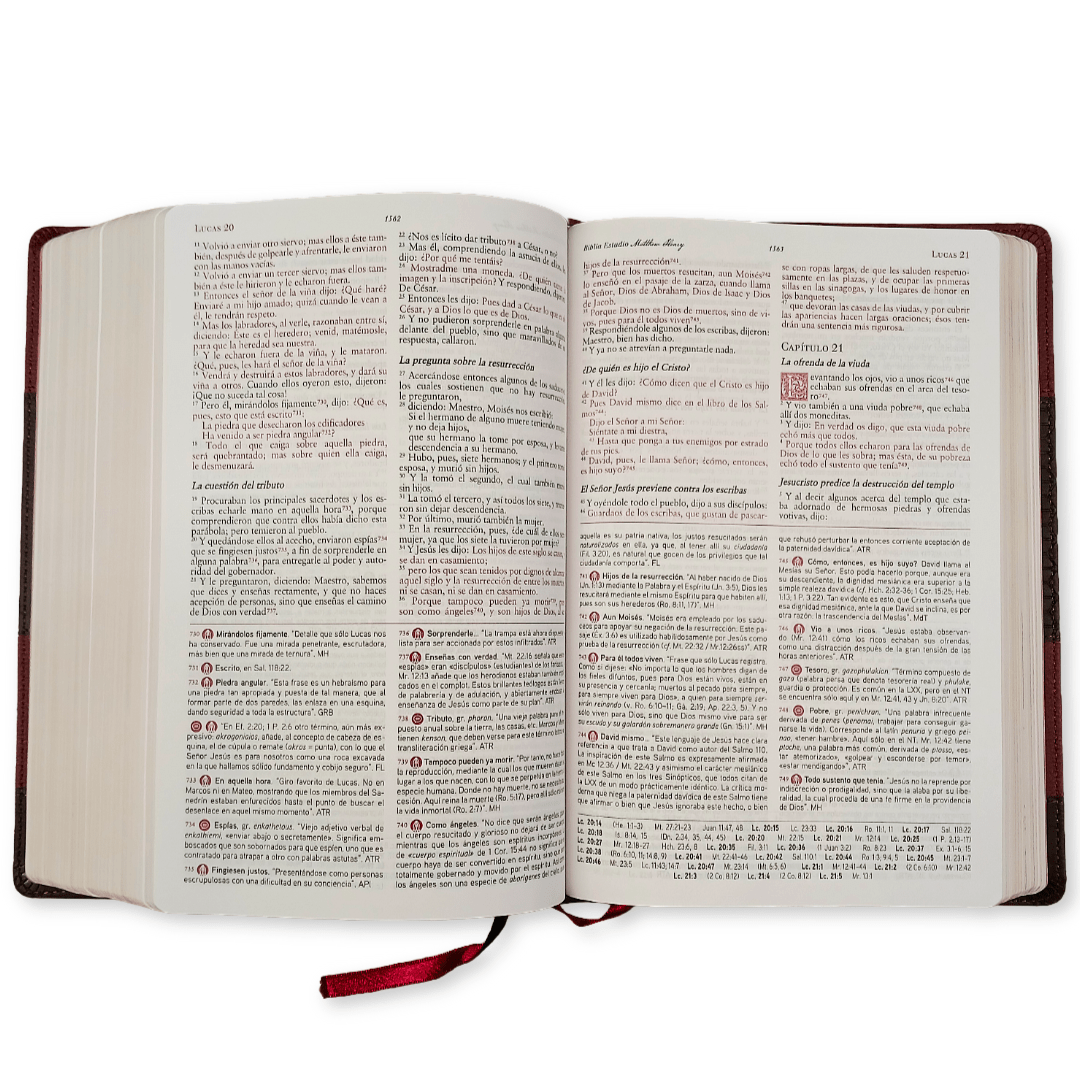 Biblia De Estudio Matthew Henry RVR 1977