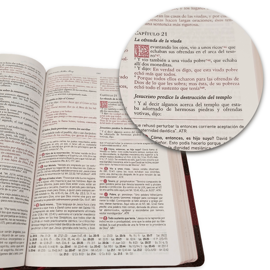 Biblia De Estudio Matthew Henry RVR 1977