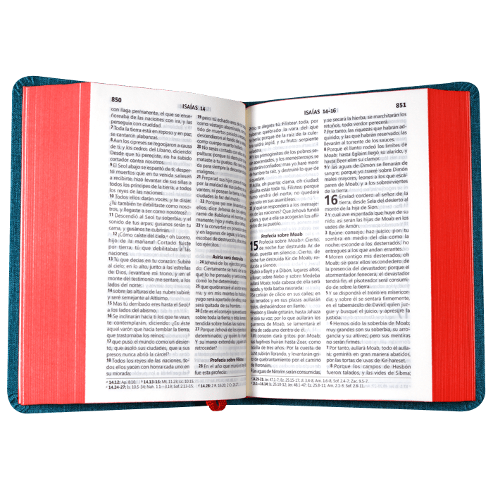 BIBLIA RVR045cLG DRS LETRA 9p 12x16 TAPA PU CONCORDANCIA VERDE