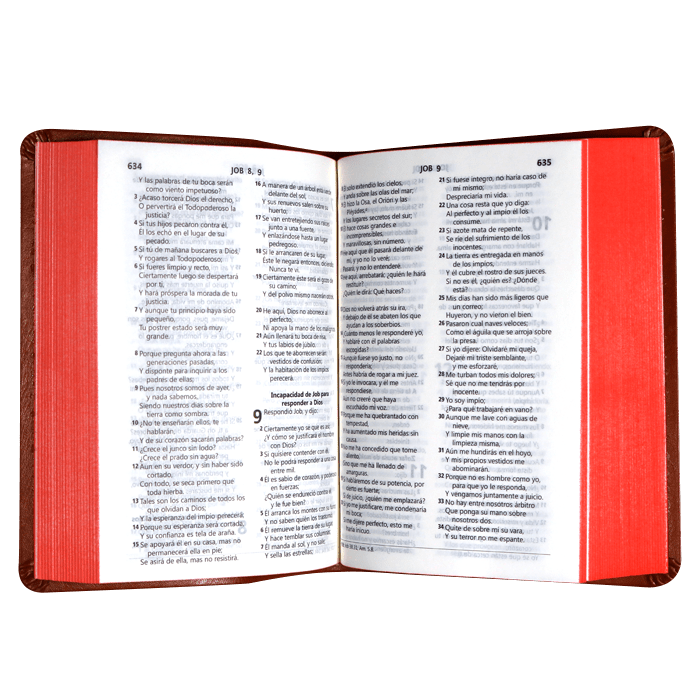 BIBLIA RVR045cLG DRG LETRA 9p 12x16 TAPA PU CONCORDANCIA CAFÉ