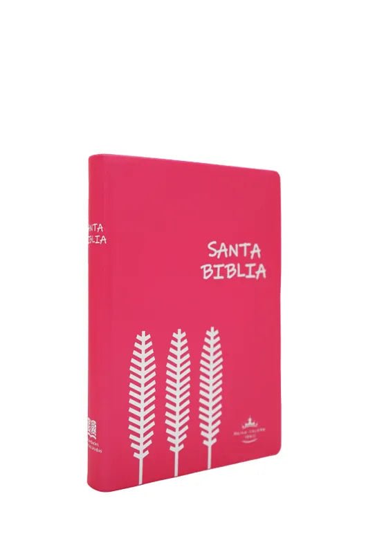 BIBLIA RVR042e LETRA 12x16 TAPA PLASTICA ROSA