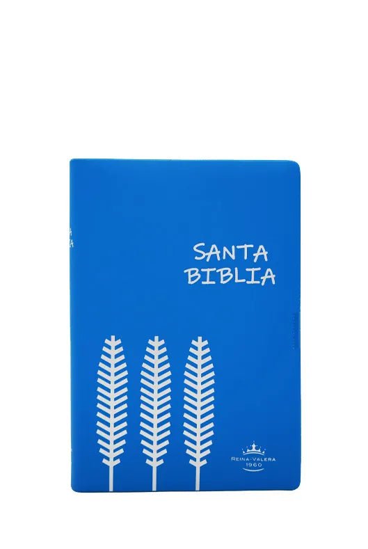 BIBLIA RVR042e LETRA 12x16 TAPA PLASTICA JP AZUL